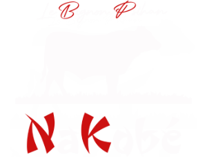 Le Bignon Pishan